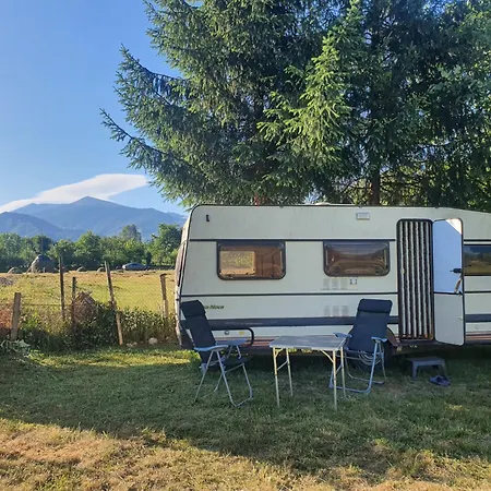 Casa Dorina Camping Petrila
